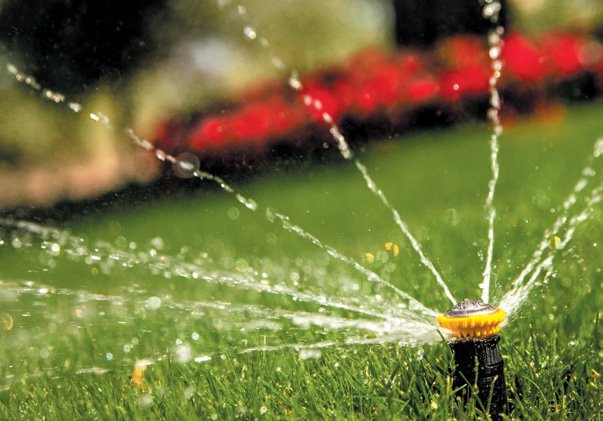 Автоматичний полив